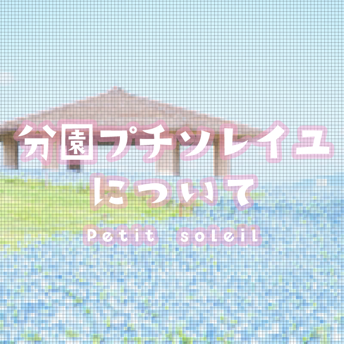 八尾ソレイユ認定こども園 分園プチソレイユについて